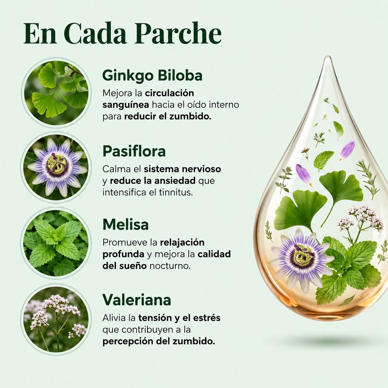 Parches Herbales para Zumbido de Oído pack 12 U-FLORAVANC™