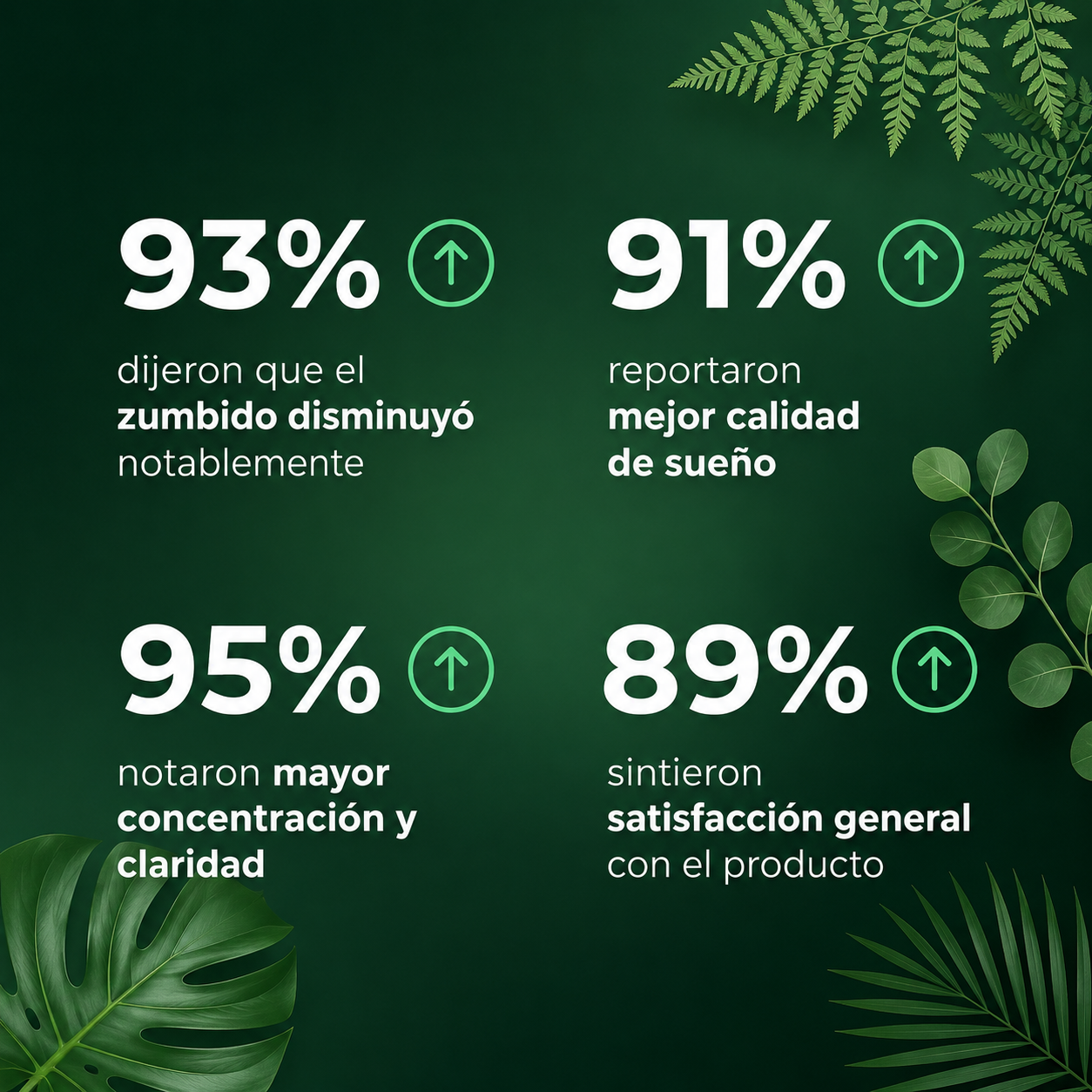 Parches Herbales para Zumbido de Oído pack 12 U-FLORAVANC™